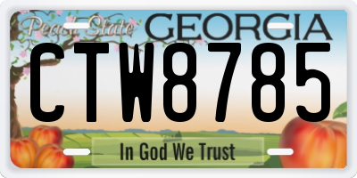 GA license plate CTW8785