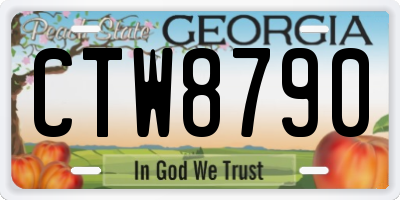 GA license plate CTW8790