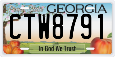 GA license plate CTW8791