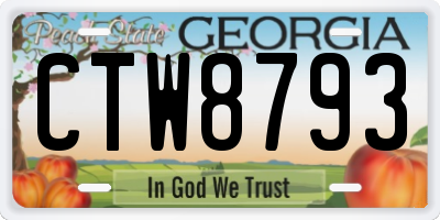 GA license plate CTW8793