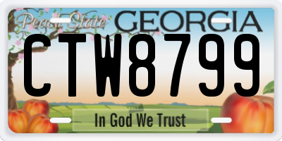 GA license plate CTW8799