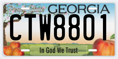 GA license plate CTW8801