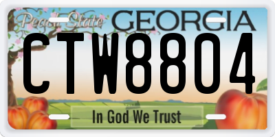 GA license plate CTW8804