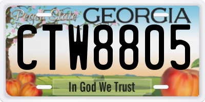 GA license plate CTW8805