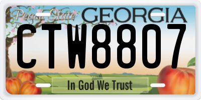 GA license plate CTW8807