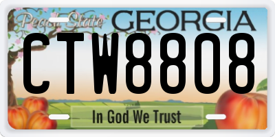 GA license plate CTW8808