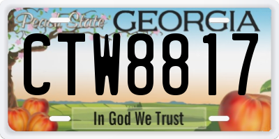 GA license plate CTW8817