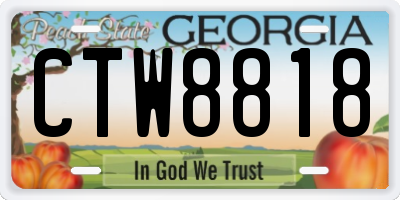 GA license plate CTW8818