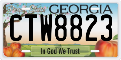 GA license plate CTW8823