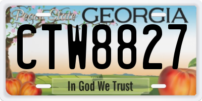 GA license plate CTW8827