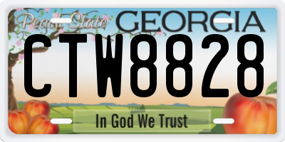 GA license plate CTW8828