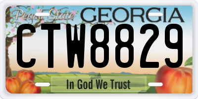 GA license plate CTW8829