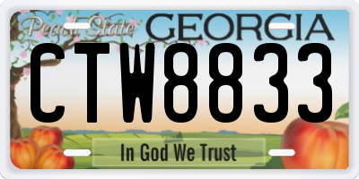 GA license plate CTW8833