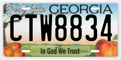 GA license plate CTW8834