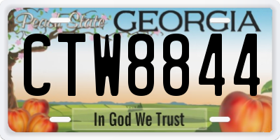 GA license plate CTW8844