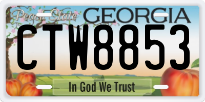 GA license plate CTW8853