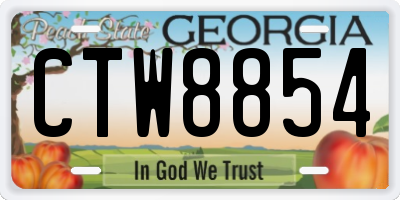 GA license plate CTW8854