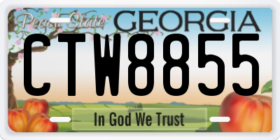 GA license plate CTW8855