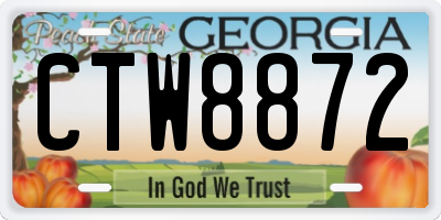 GA license plate CTW8872