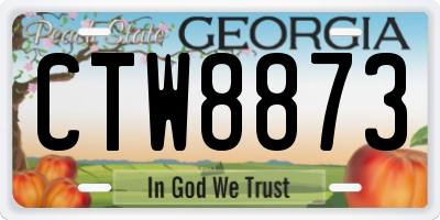 GA license plate CTW8873