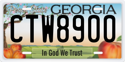 GA license plate CTW8900