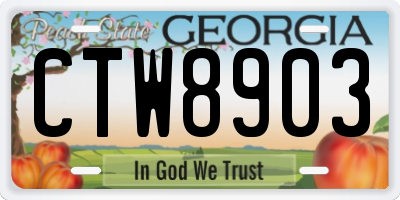 GA license plate CTW8903