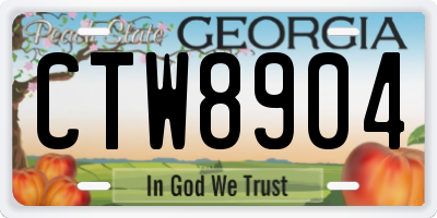 GA license plate CTW8904