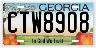 GA license plate CTW8908