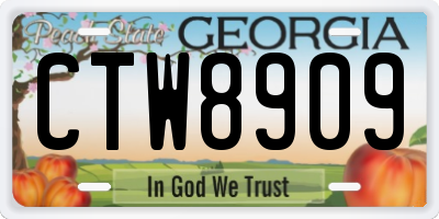GA license plate CTW8909