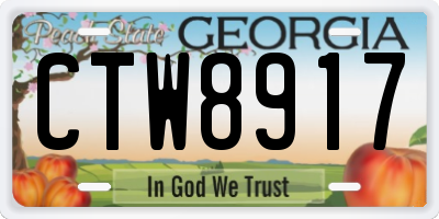 GA license plate CTW8917