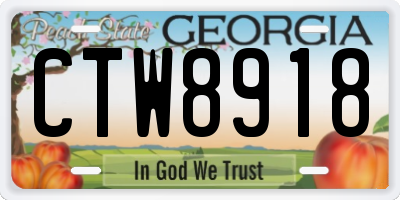 GA license plate CTW8918