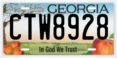 GA license plate CTW8928