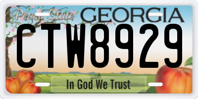 GA license plate CTW8929