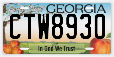 GA license plate CTW8930