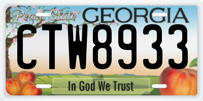 GA license plate CTW8933