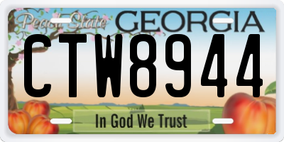 GA license plate CTW8944