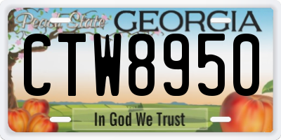 GA license plate CTW8950