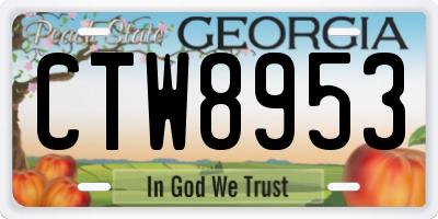 GA license plate CTW8953