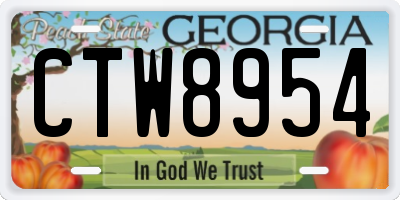 GA license plate CTW8954