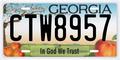 GA license plate CTW8957