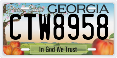 GA license plate CTW8958