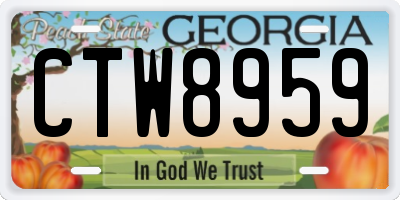 GA license plate CTW8959