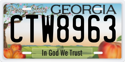 GA license plate CTW8963