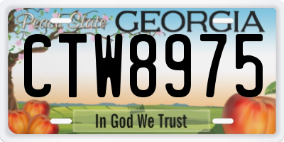 GA license plate CTW8975