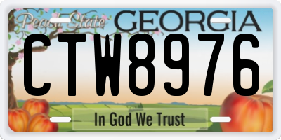 GA license plate CTW8976