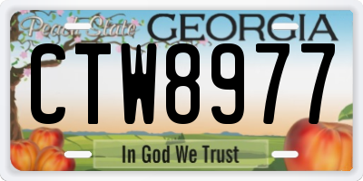 GA license plate CTW8977