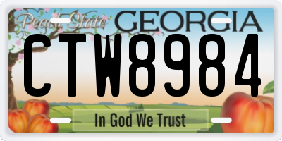 GA license plate CTW8984