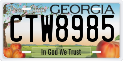 GA license plate CTW8985
