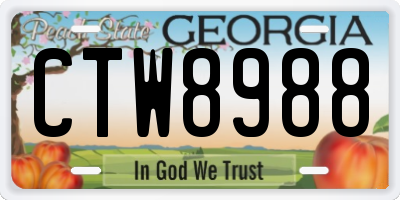 GA license plate CTW8988