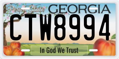 GA license plate CTW8994